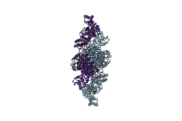8CG4 image