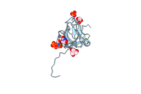8CGA image