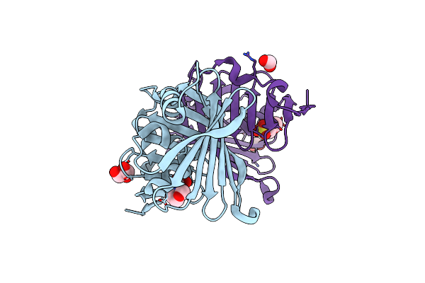 8CGM image