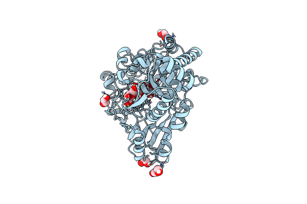 8CH1 image