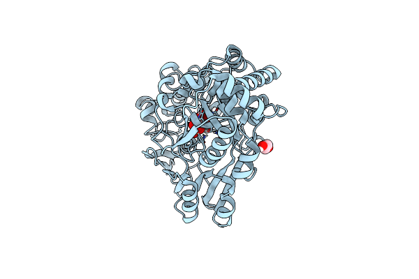 8CH2 image