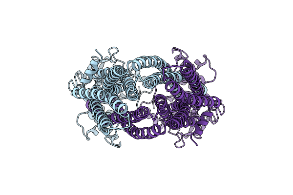 8CHB image