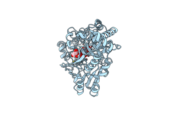 8CHC image