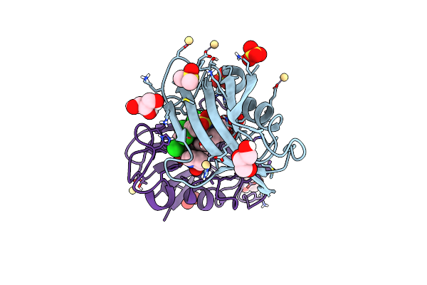 8CHL image