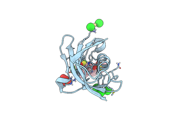 8CHM image