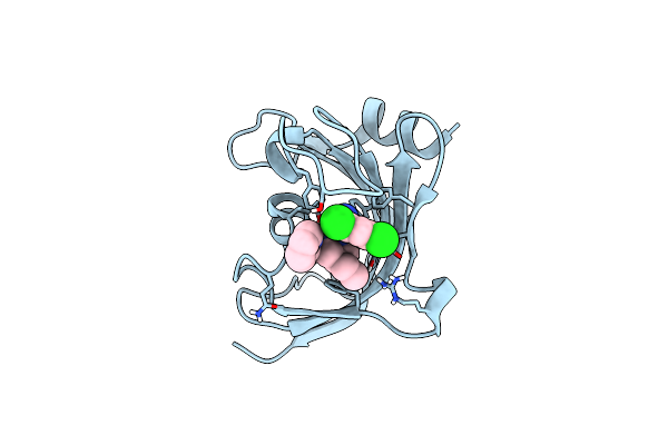 8CHN image