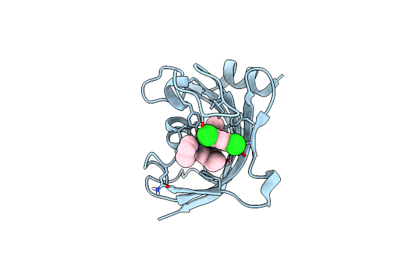 8CHQ image
