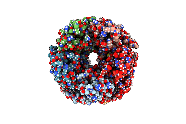 8CI2 image