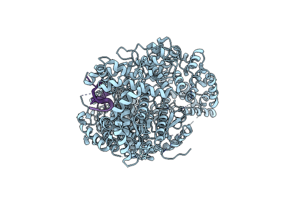 8CI5 image