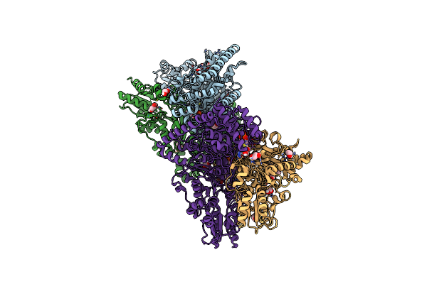 8CIP image