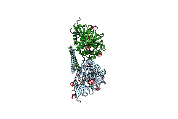 8CIR image