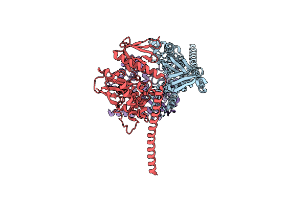 8CIT image