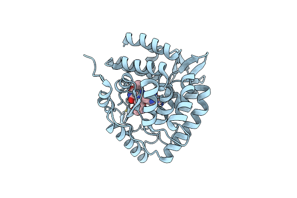 8CJI image