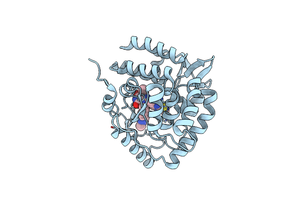 8CJK image