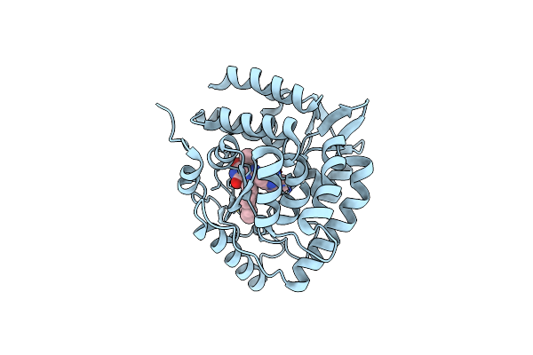 8CJN image