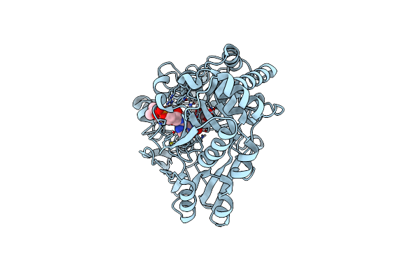 8CJU image