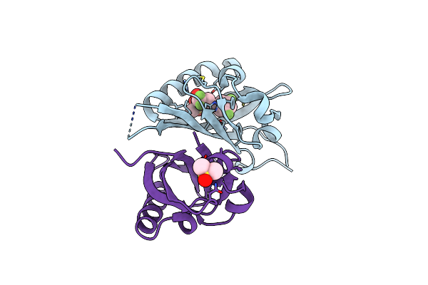 8CK3 image