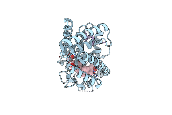 8CK5 image