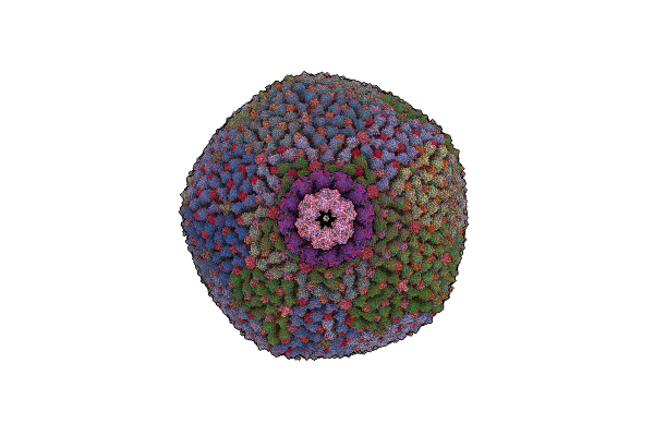8CKB image