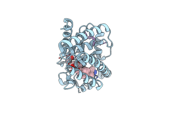 8CKC image