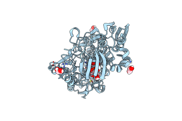 8CKD image