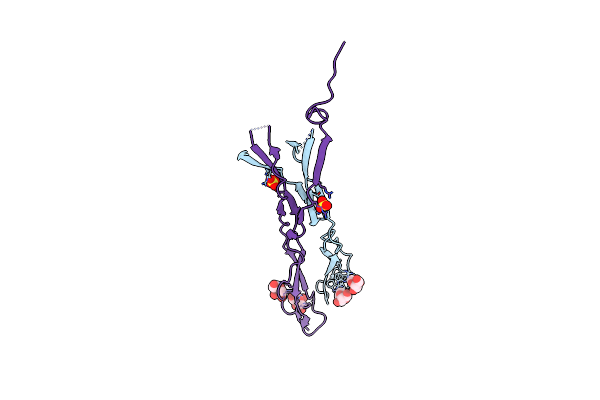 8CKG image
