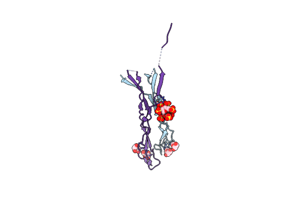 8CKL image
