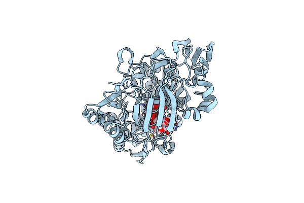 8CKO image