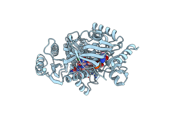 8CKQ image