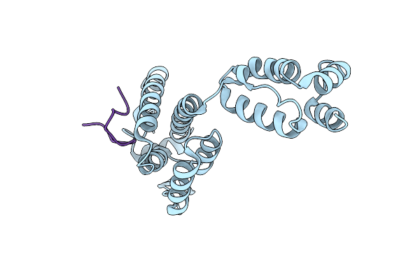 8CL1 image