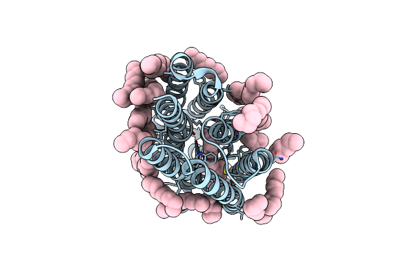 8CL8 image