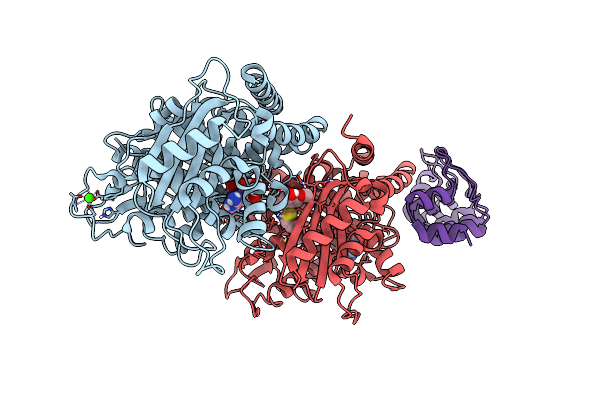 8CLA image