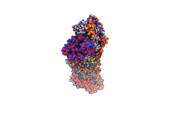 8CLC image