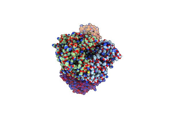 8CLL image