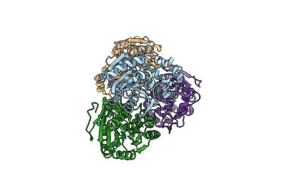 8CLN image