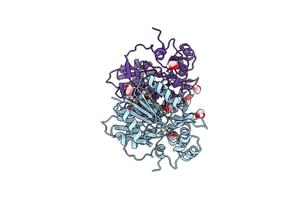 8CLO image