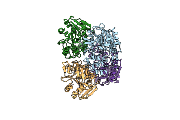 8CLP image