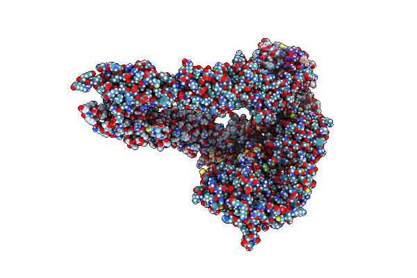 8CLS image