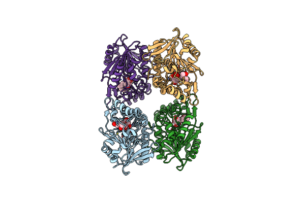 8CLV image