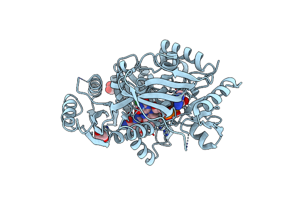 8CLW image