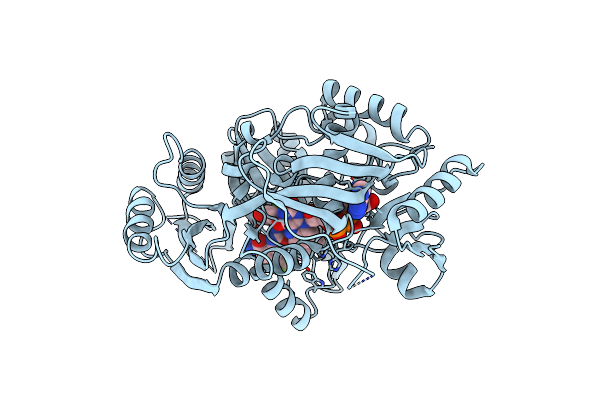 8CM2 image