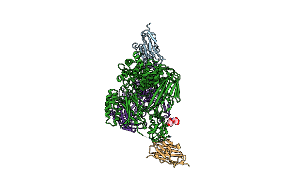 8CML image