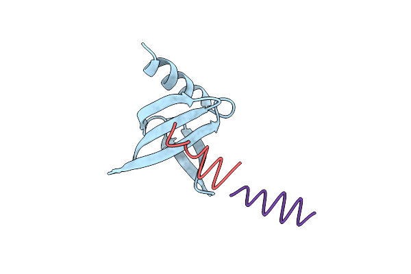 8CMN image