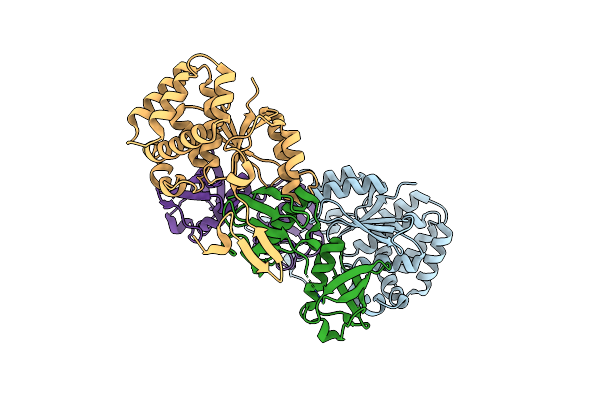 8CMR image
