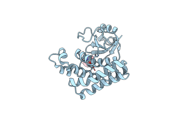 8CMS image