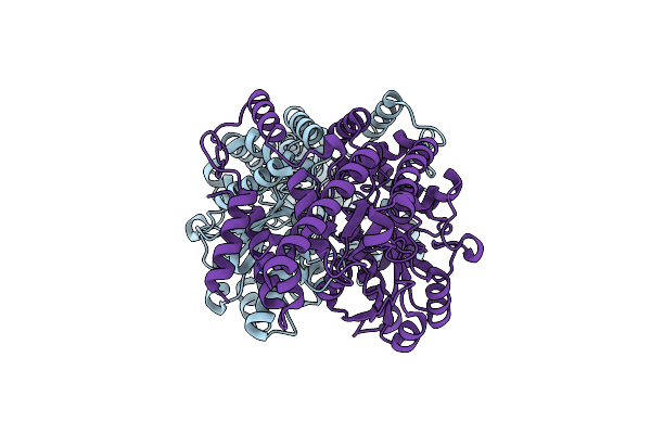 8CMX image