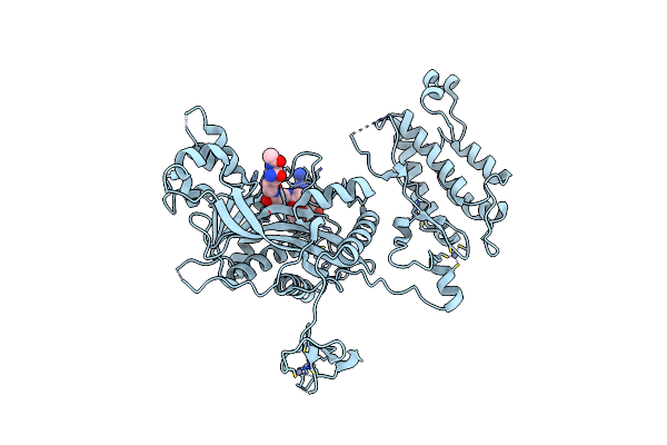 8CND image
