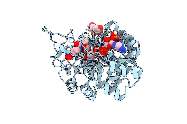 8CNF image