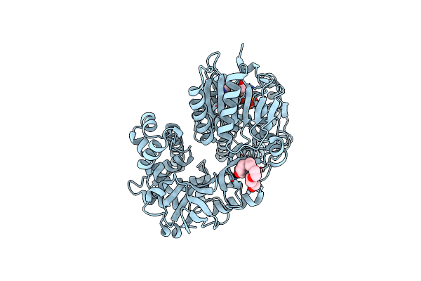 8CNT image