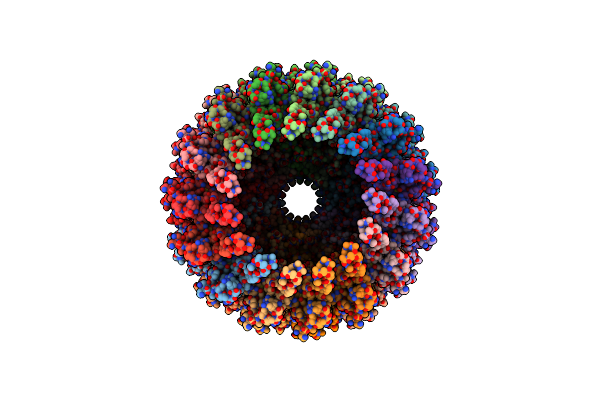 8CO1 image